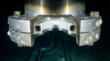 The Resilient Seal: Why Spring-Energized PTFE Masters Hostile Environments