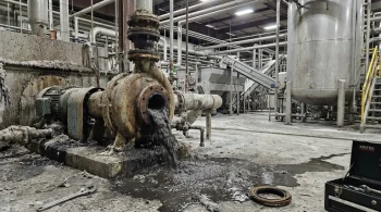 The Real Reason Your Pulp Mill Seals Keep Failing—And the Permanent Fix