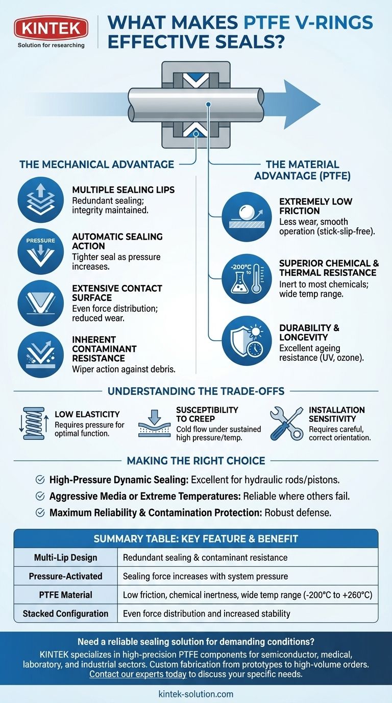 PTFE V-링이 효과적인 씰링을 제공하는 이유는 무엇일까요? 견고하고 마찰이 적은 씰링을 위한 가이드 시각적 가이드