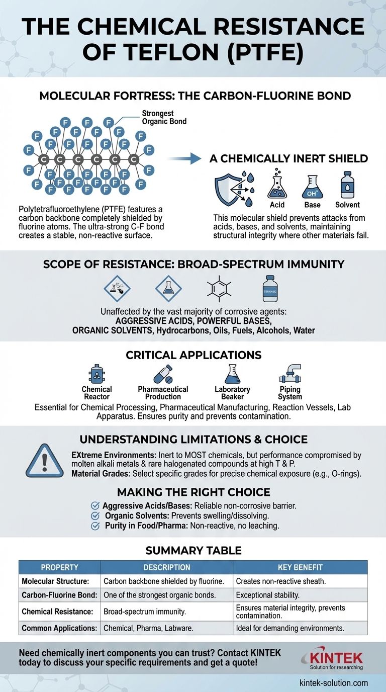 테프론 시트가 화학 물질에 내성을 갖는 이유는 무엇일까요? 분자 요새의 힘 시각적 가이드