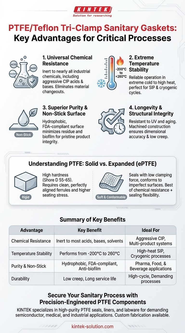 PTFE/테플론 트라이 클램프 위생 개스킷 사용의 주요 이점은 무엇입니까? 순도 및 성능 극대화 시각적 가이드