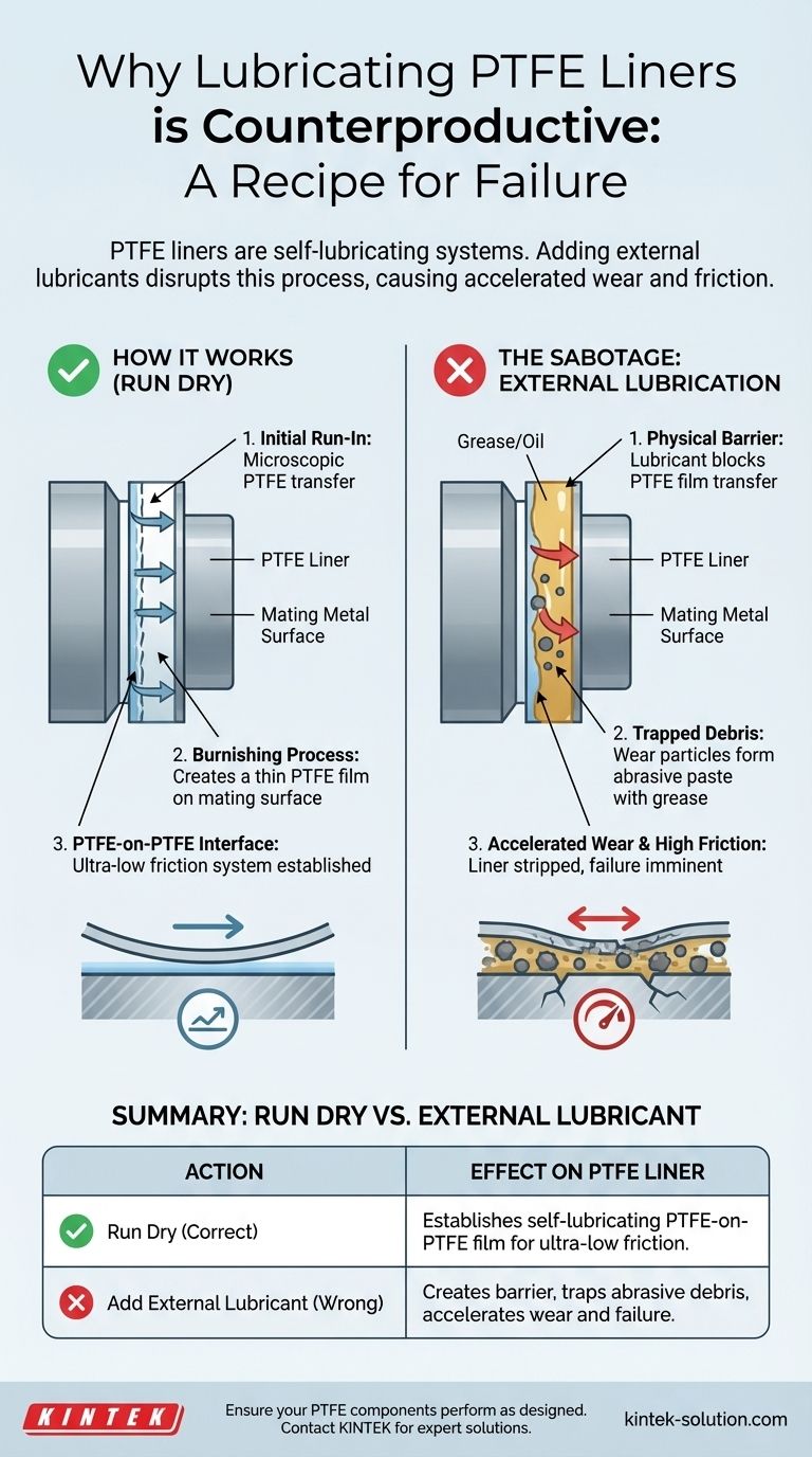 윤활제가 PTFE 라이너 기능에 방해가 될 때 어떤 일이 발생합니까? 가속화된 마모 및 시스템 고장 방지 시각적 가이드