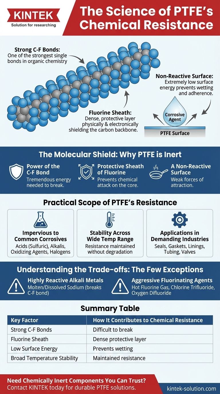 PTFE의 내화학성은 무엇으로 인해 발생하는가? 불소 보호막의 힘 시각적 가이드