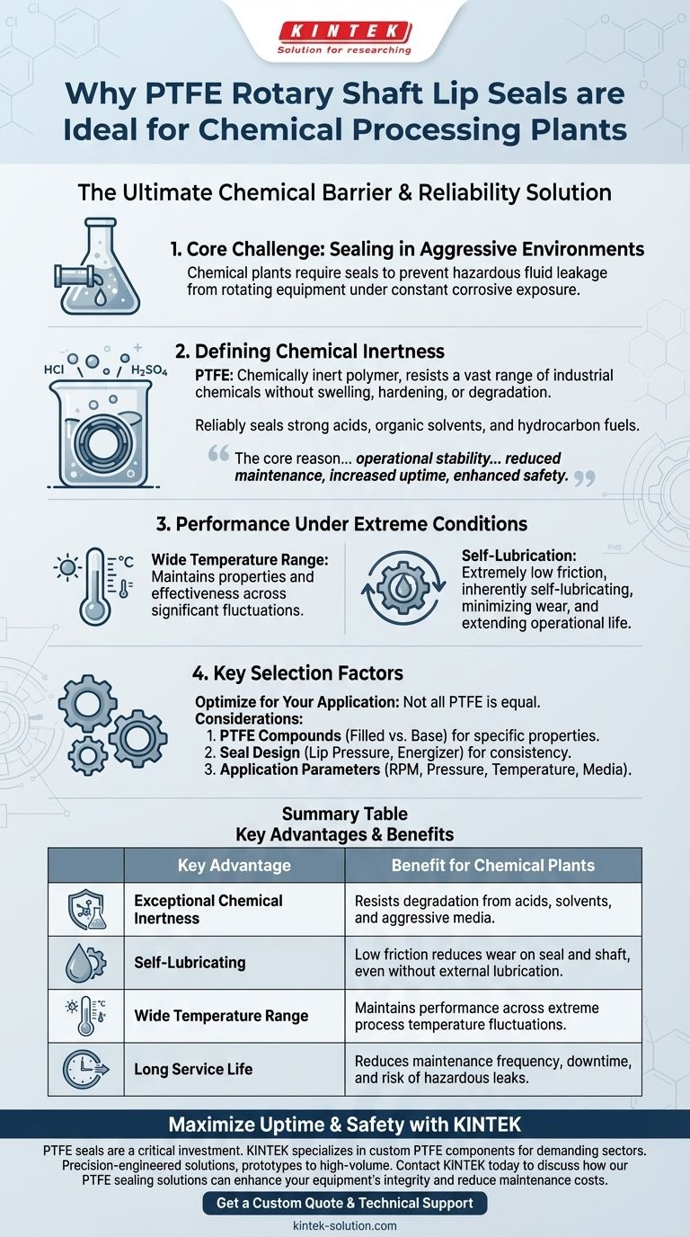 PTFE 로터리 샤프트 립 씰이 화학 공장에 이상적인 이유는 무엇입니까? 부식성 환경에서 신뢰성 보장 시각적 가이드