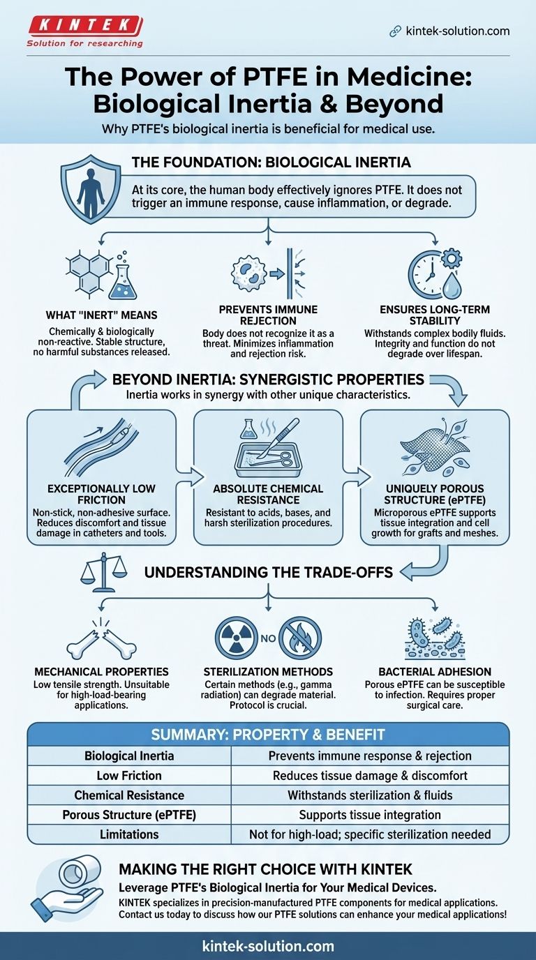 PTFE의 생물학적 비활성이 의료용으로 유익한 이유는 무엇입니까? 임플란트 안전성과 수명 보장 시각적 가이드