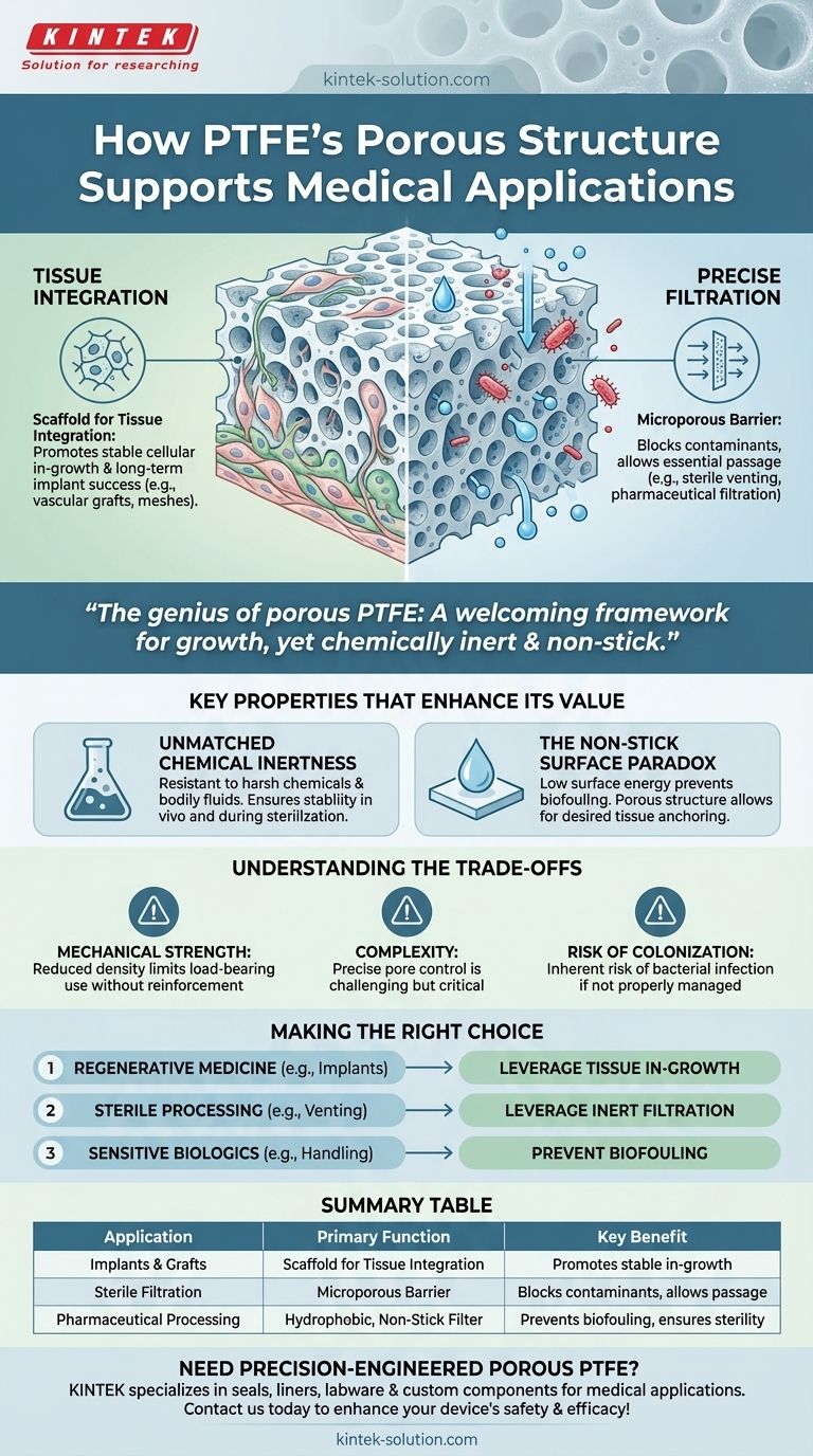 다공성 PTFE의 구조는 의료 분야에서 어떻게 활용될 수 있습니까? 생체 적합성 지지체 및 여과 기술의 잠재력 탐구 시각적 가이드