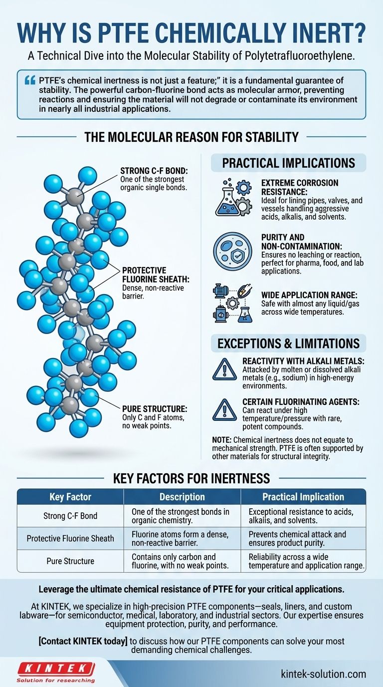 Warum gilt PTFE als chemisch inert? Das molekulare Geheimnis ultimativer chemischer Beständigkeit Visuelle Anleitung