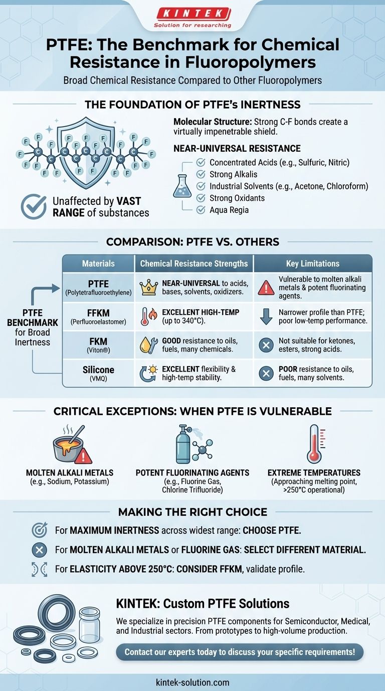 Wie verhält sich PTFE im Vergleich zu anderen Fluorpolymeren hinsichtlich der chemischen Beständigkeit? Entdecken Sie den Maßstab für chemische Inertheit Visuelle Anleitung