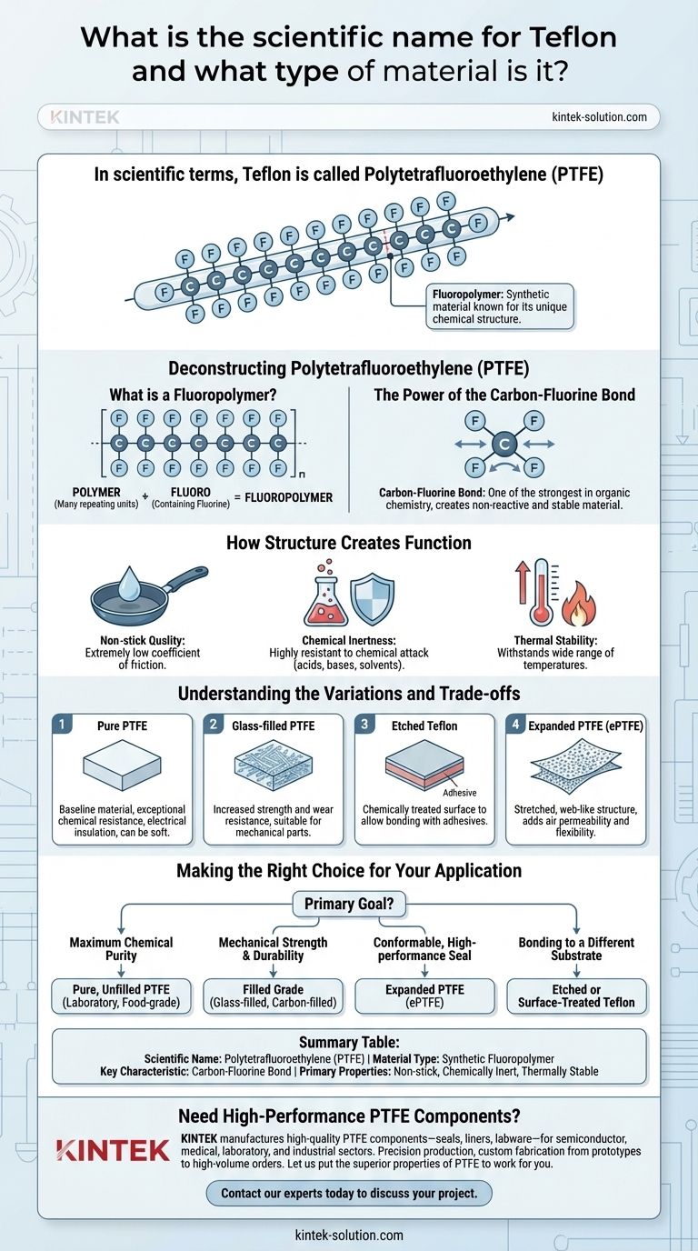 테플론의 과학적 명칭은 무엇이며 어떤 종류의 물질입니까? PTFE 안내서 시각적 가이드