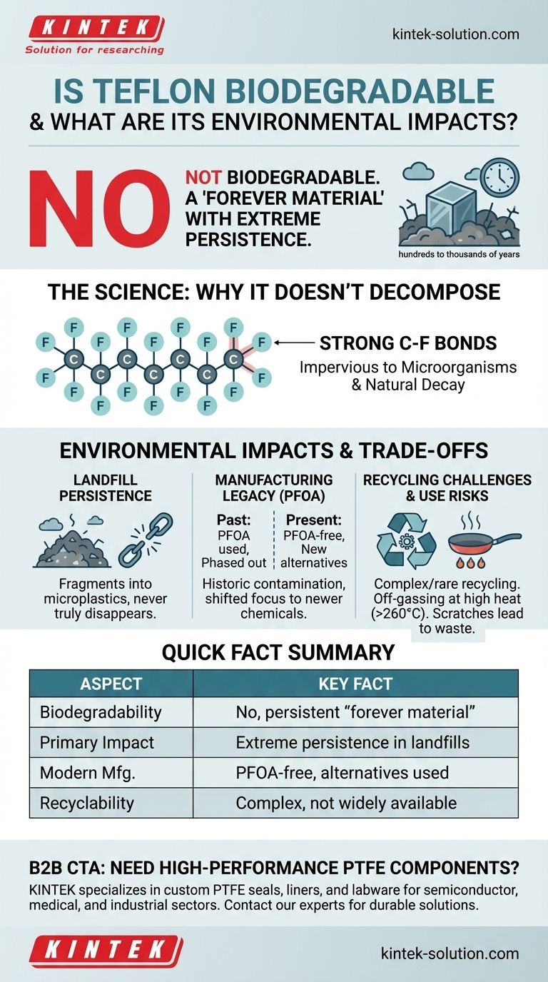 Является ли тефлон биоразлагаемым и каковы его последствия для окружающей среды? Понимание «вечного материала» Визуальное руководство