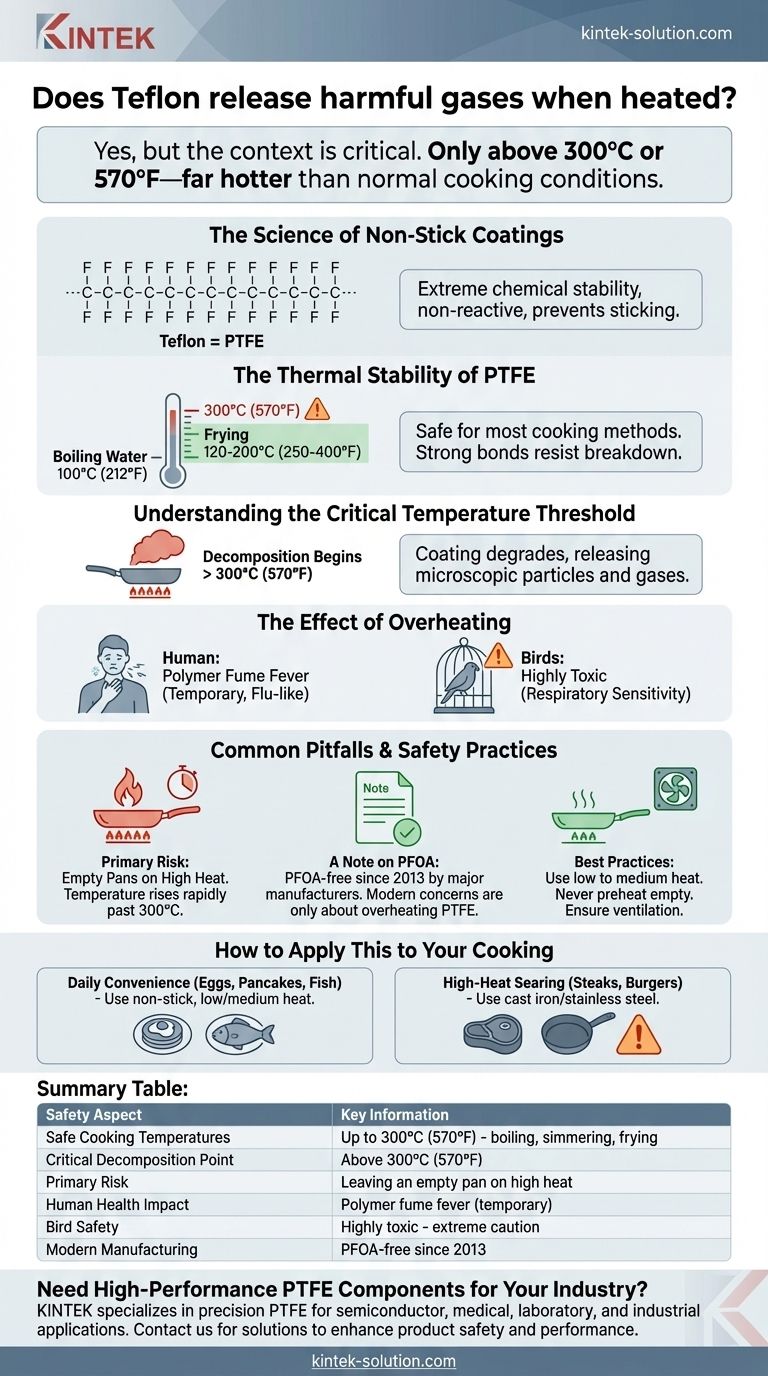 Le Téflon libère-t-il des gaz nocifs lorsqu'il est chauffé ? Comprendre les températures de cuisson sûres Guide Visuel