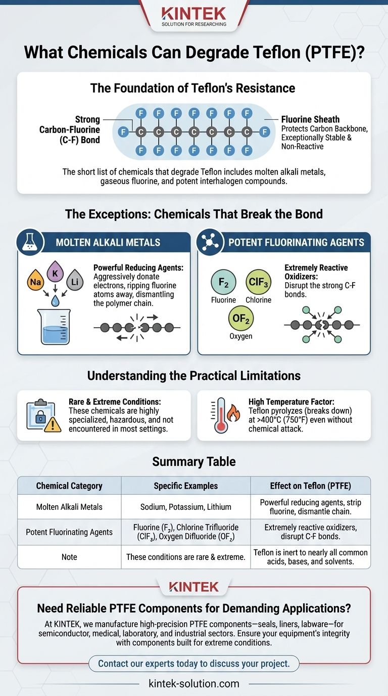 테프론을 분해할 수 있는 화학 물질은 무엇인가요? PTFE의 화학적 한계에 대한 안내서 시각적 가이드