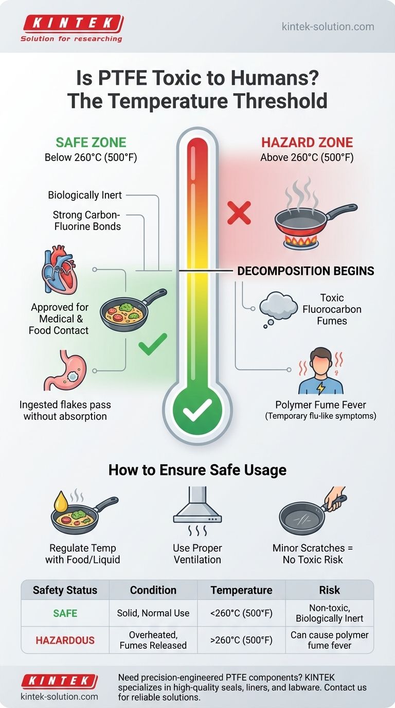 Токсичен ли ПТФЭ для человека? Критическая роль температуры в безопасности ПТФЭ Визуальное руководство