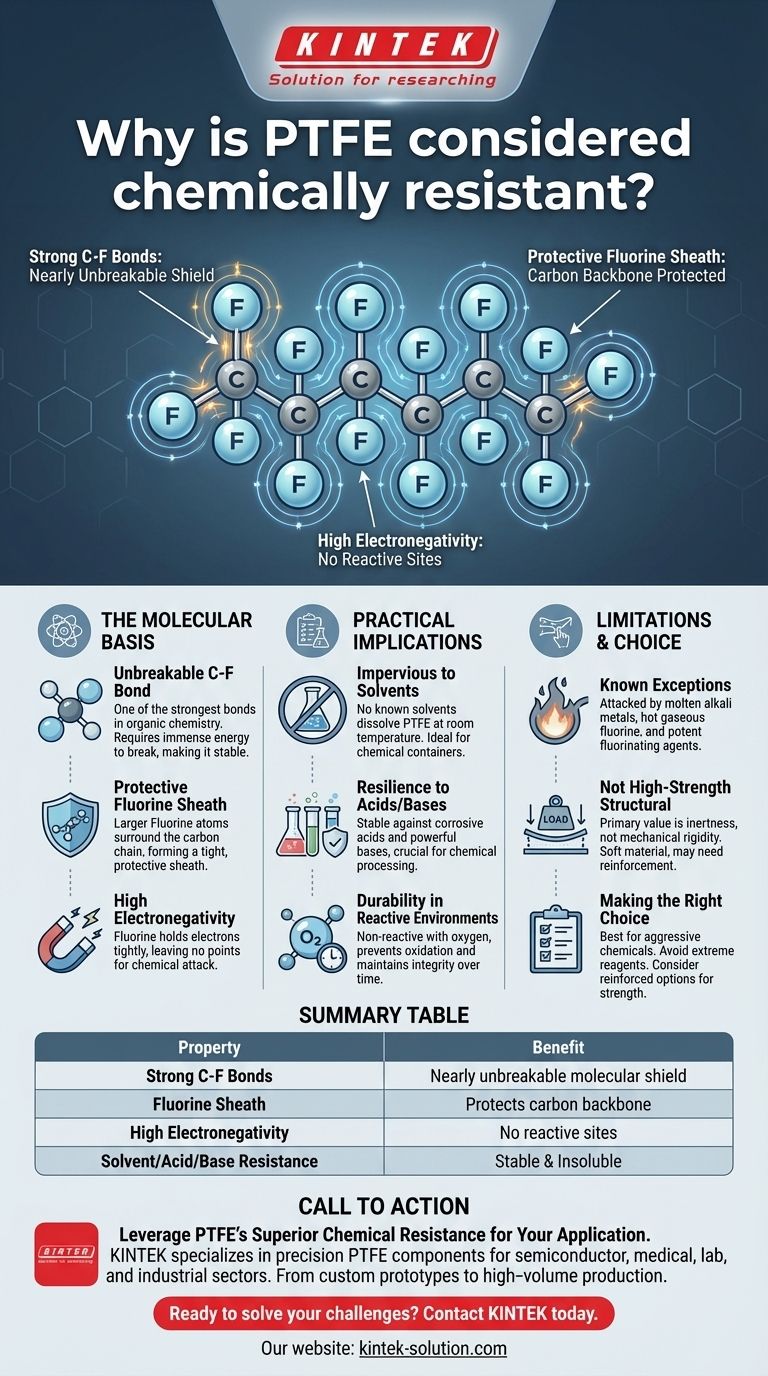 Why is PTFE considered chemically resistant? The Science Behind Its Unmatched Inertness Visual Guide