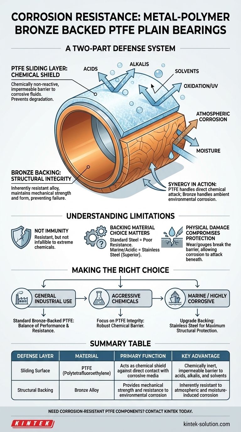 금속-폴리머 청동 배면 PTFE 평면 베어링의 내식성은 무엇으로 결정됩니까? 2중 방어 시스템 설명 시각적 가이드