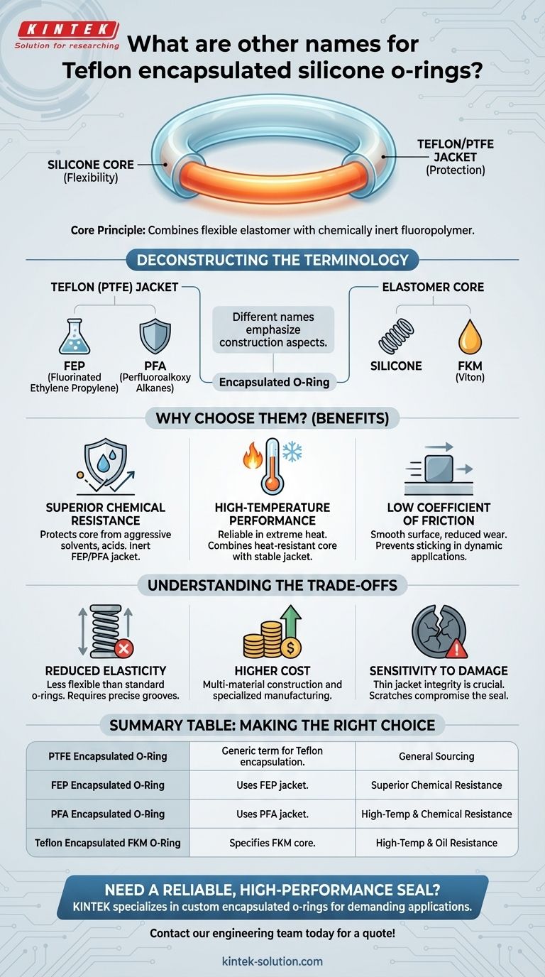 테프론 캡슐화 실리콘 O-링의 다른 이름은 무엇입니까? 올바른 고성능 씰 찾기 시각적 가이드