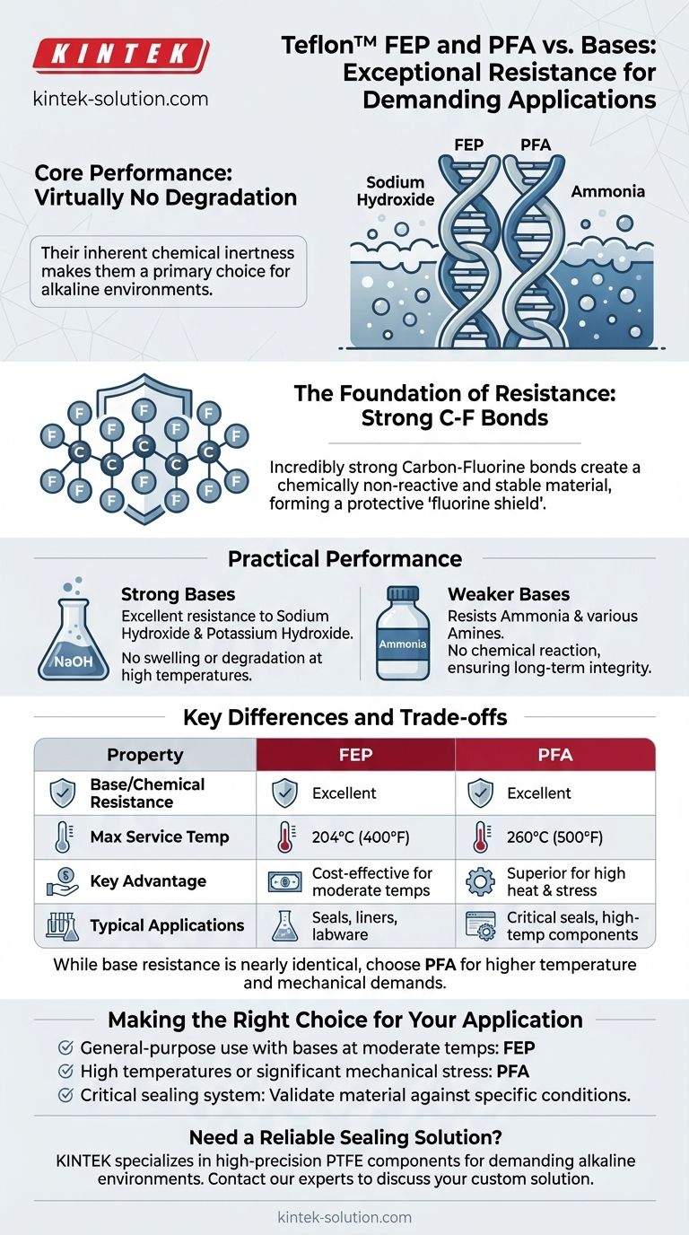 How do Teflon FEP and PFA perform against bases? Superior Resistance for Alkaline Environments Visual Guide