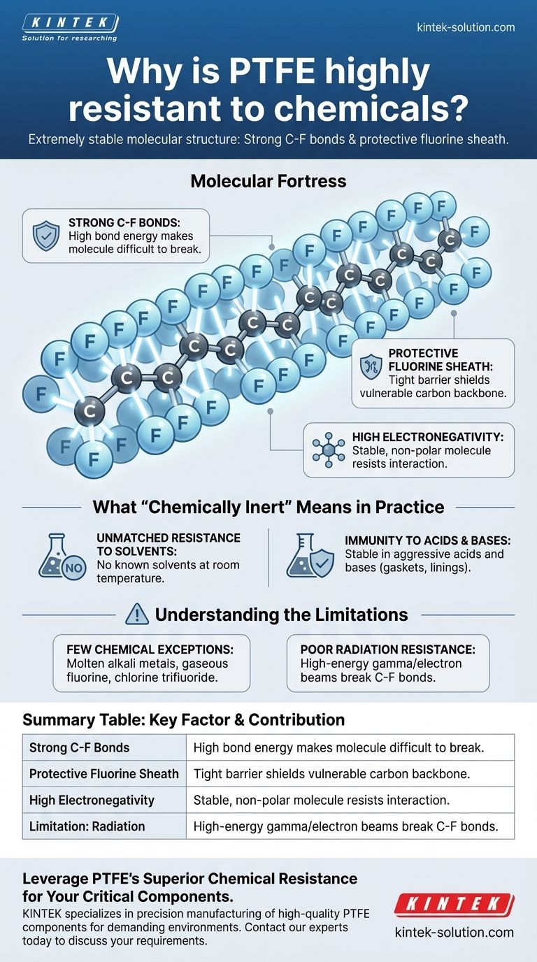 Почему ПТФЭ обладает высокой химической стойкостью? Непревзойденная инертность для требовательных применений Визуальное руководство