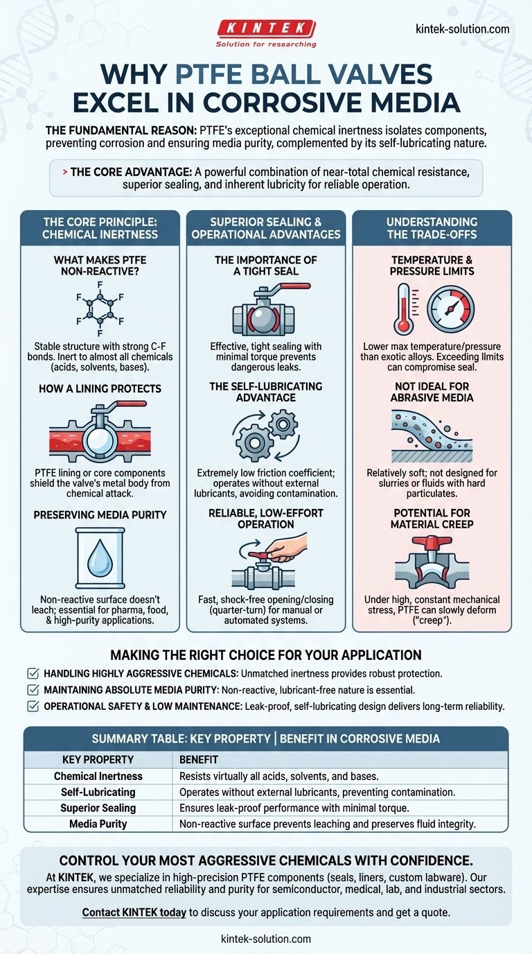 Why can PTFE ball valves be used in corrosive media? Unmatched Chemical Resistance for Safe Fluid Control Visual Guide