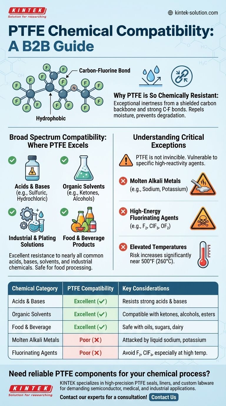 PTFE의 화학적 호환성은 어떻습니까? 내화학성 궁극 가이드 시각적 가이드