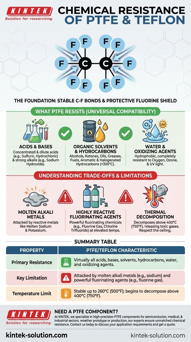 Каковы общие свойства химической стойкости ПТФЭ и тефлона? Непревзойденная инертность для требовательных применений Визуальное руководство