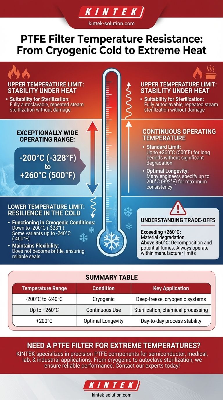 What temperature resistance do PTFE filters offer? Unmatched Thermal Stability from -200°C to +260°C Visual Guide