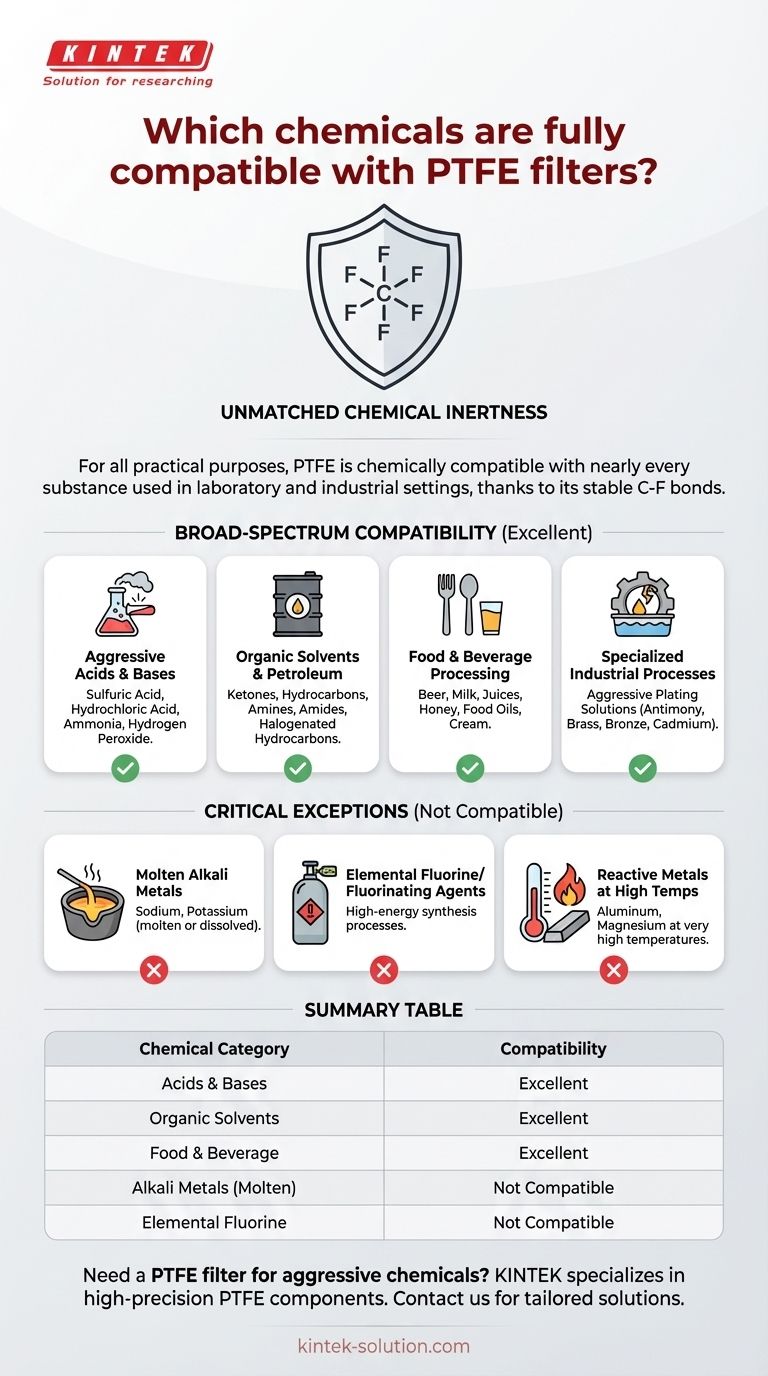 PTFE 필터와 완벽하게 호환되는 화학 물질은 무엇입니까? 타의 추종을 불허하는 내화학성 확인 시각적 가이드
