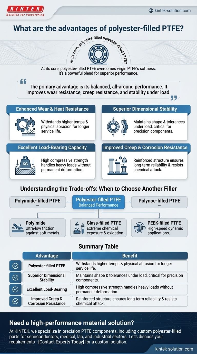 Quali sono i vantaggi del PTFE riempito di poliestere? Una guida alle prestazioni superiori in termini di usura e carico Guida Visiva