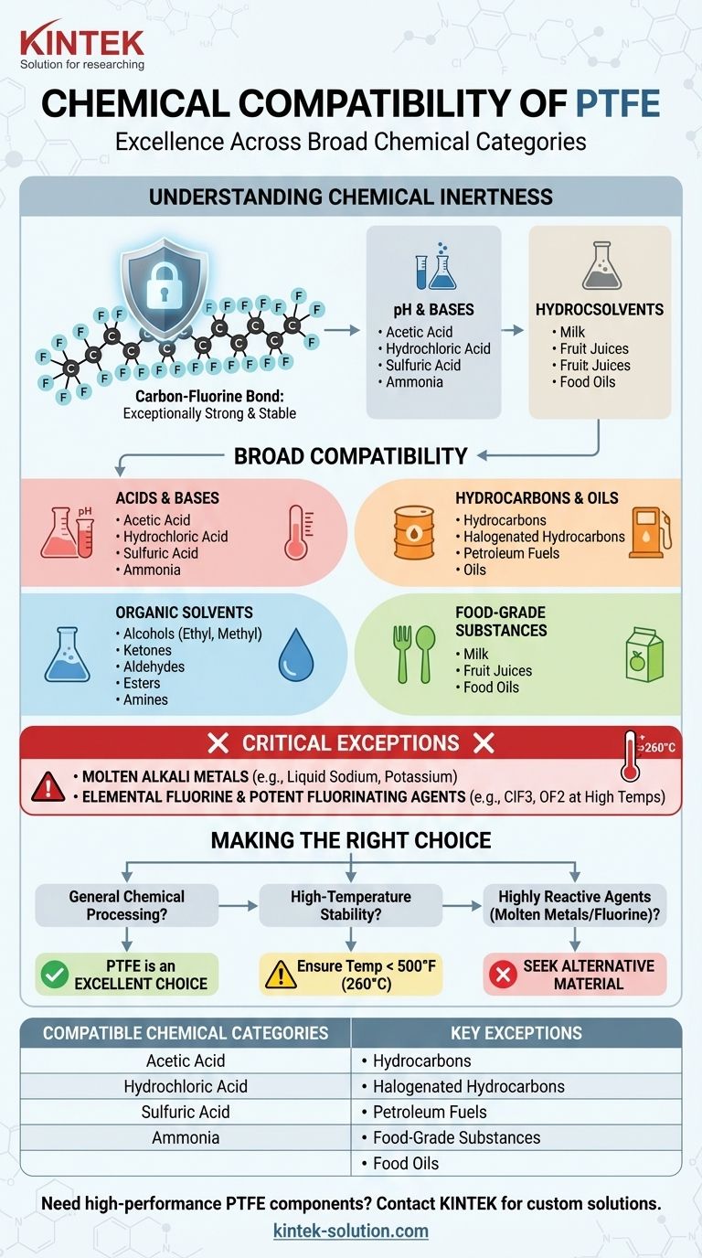 PTFE와 화학적으로 우수한 상용성을 보이는 화학 물질 범주는 무엇입니까? 까다로운 응용 분야를 위한 탁월한 내화학성 시각적 가이드