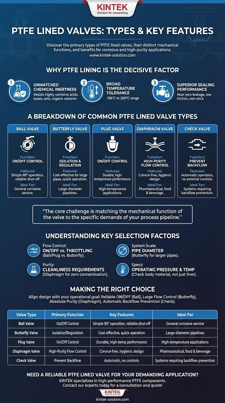 PTFE 라이닝 밸브의 종류와 주요 특징은 무엇인가요? 부식성 공정에 적합한 밸브 선택하기 시각적 가이드