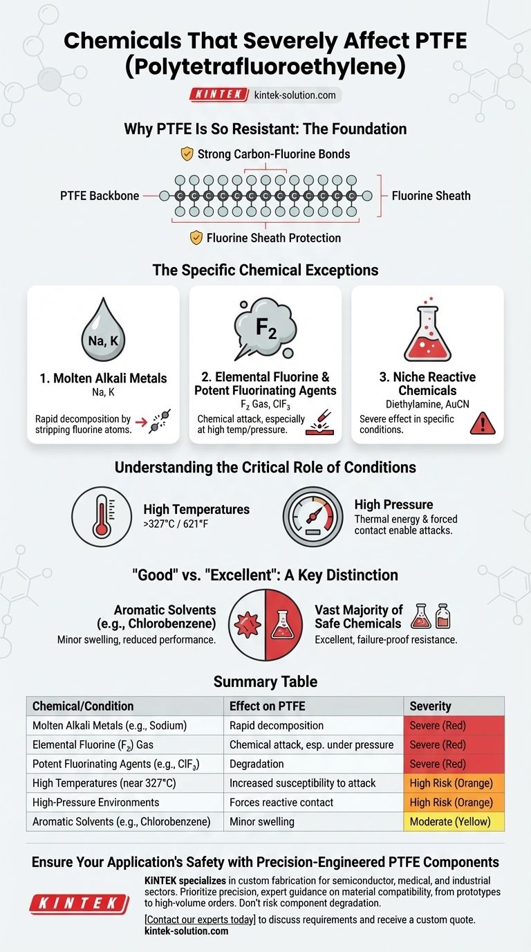 PTFE에 심각한 영향을 미치는 화학 물질이 있습니까? 불활성(Inertness)의 한계 이해하기 시각적 가이드
