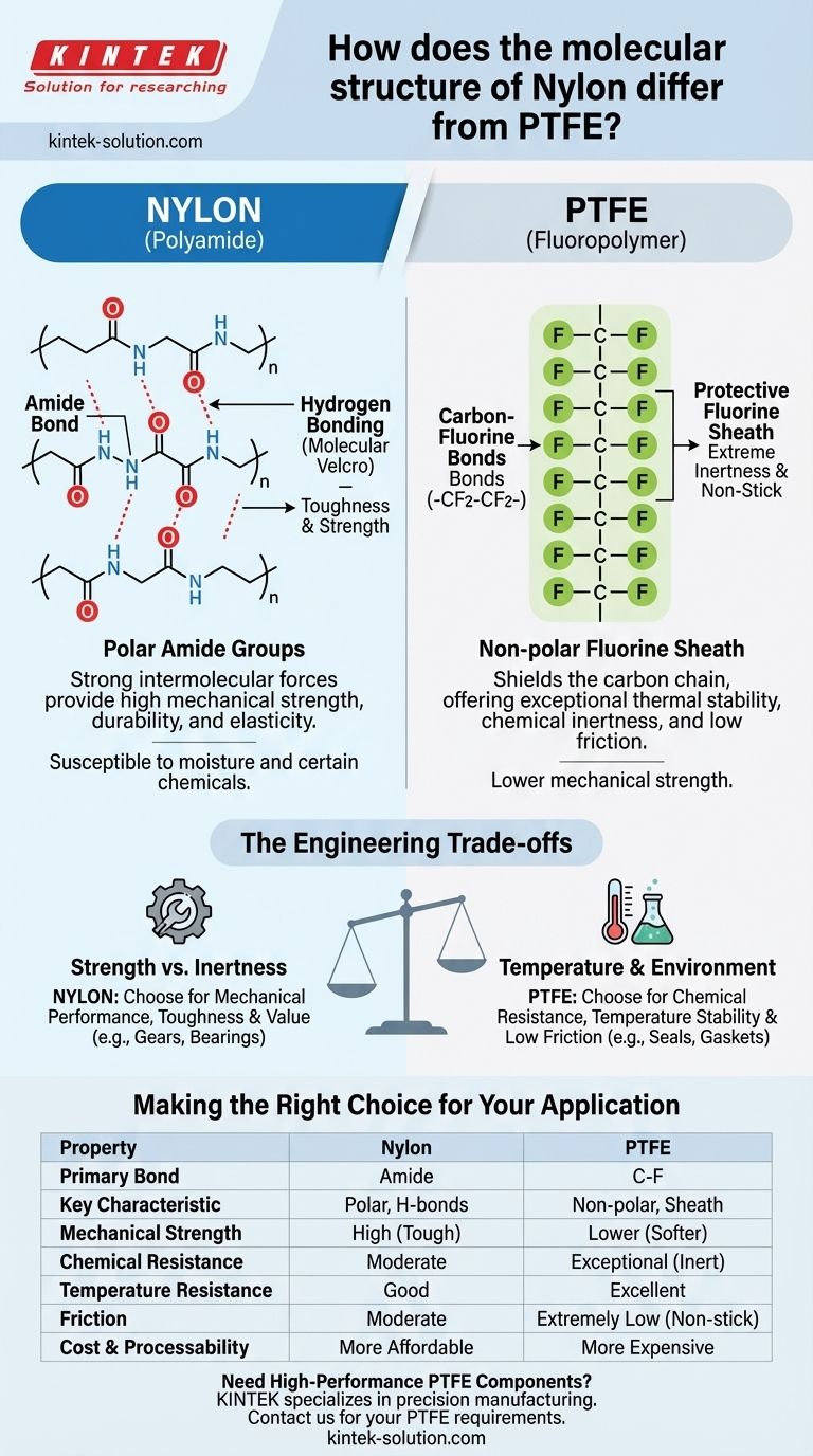 Wie unterscheidet sich die Molekularstruktur von Nylon von der von PTFE? Ein Leitfaden zu Polymereigenschaften Visuelle Anleitung