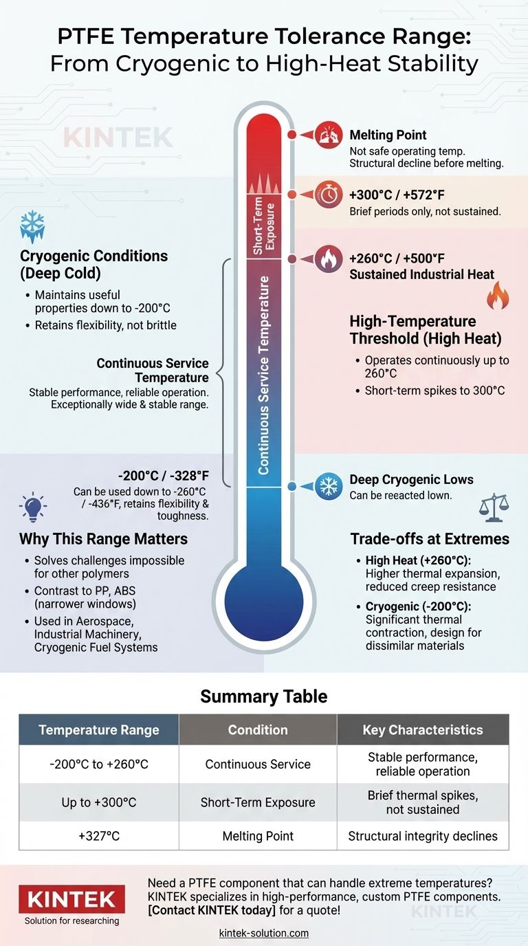 PTFE의 내열 온도 범위는 얼마입니까? 극한의 고온 및 극저온 안정성 마스터하기 시각적 가이드