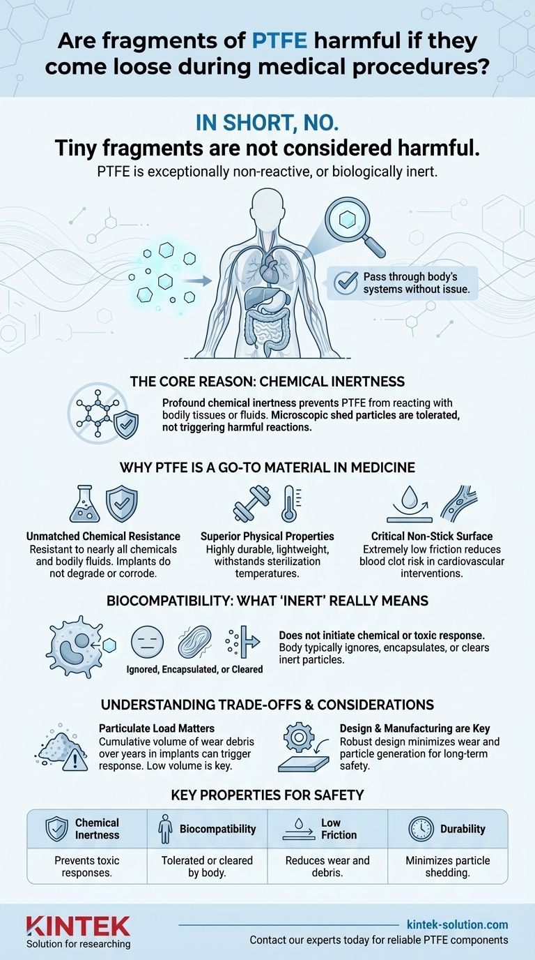 의료 시술 중 PTFE 조각이 떨어져 나오면 해롭습니까? PTFE 안전에 대한 진실 시각적 가이드