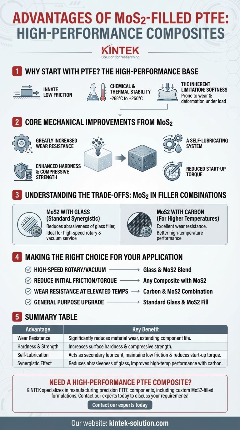 Quali sono i vantaggi del PTFE riempito con MoS2? Migliorano la resistenza all'usura e la lubrificazione Guida Visiva