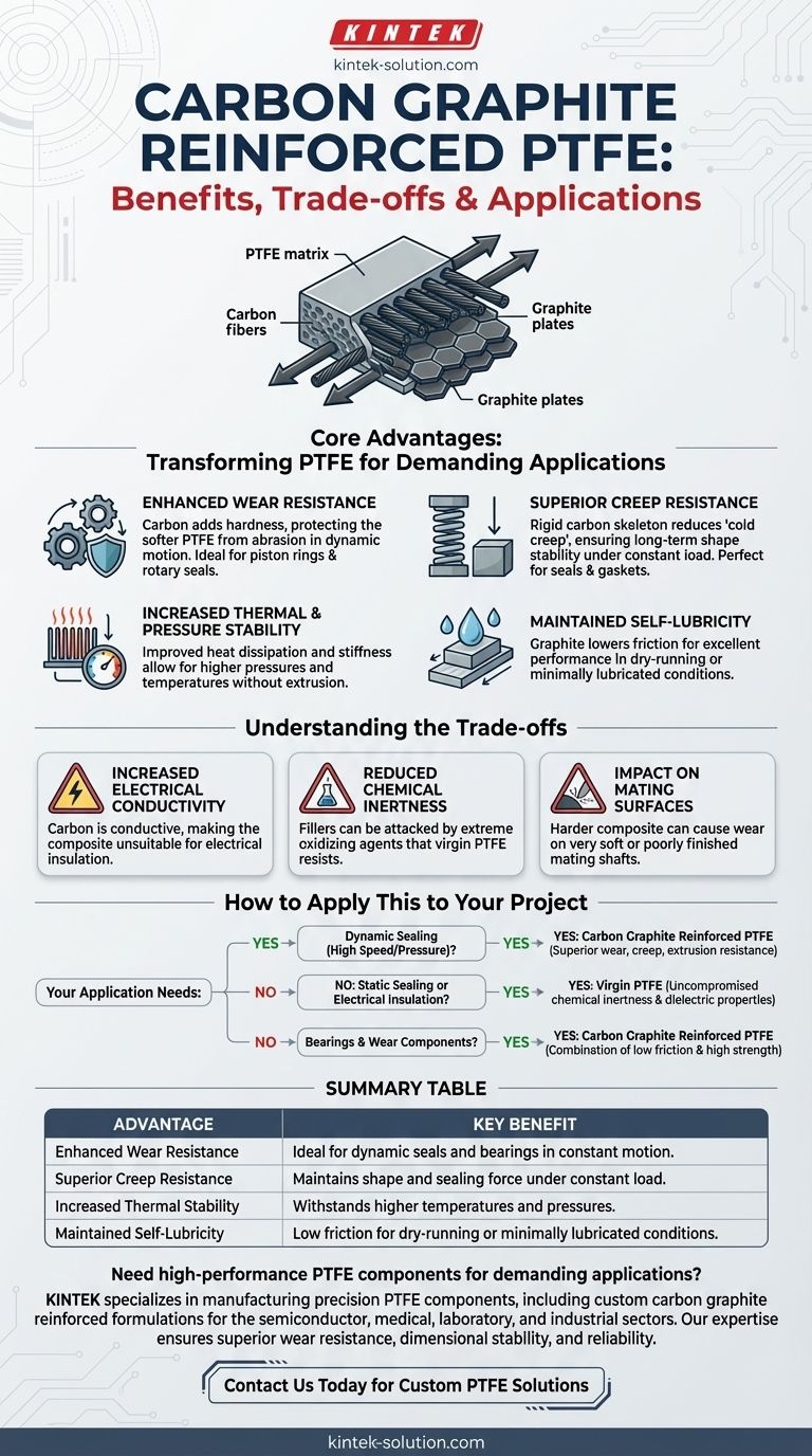 Quels sont les avantages du PTFE renforcé de graphite carboné ? Obtenez une résistance supérieure à l'usure et au fluage Guide Visuel