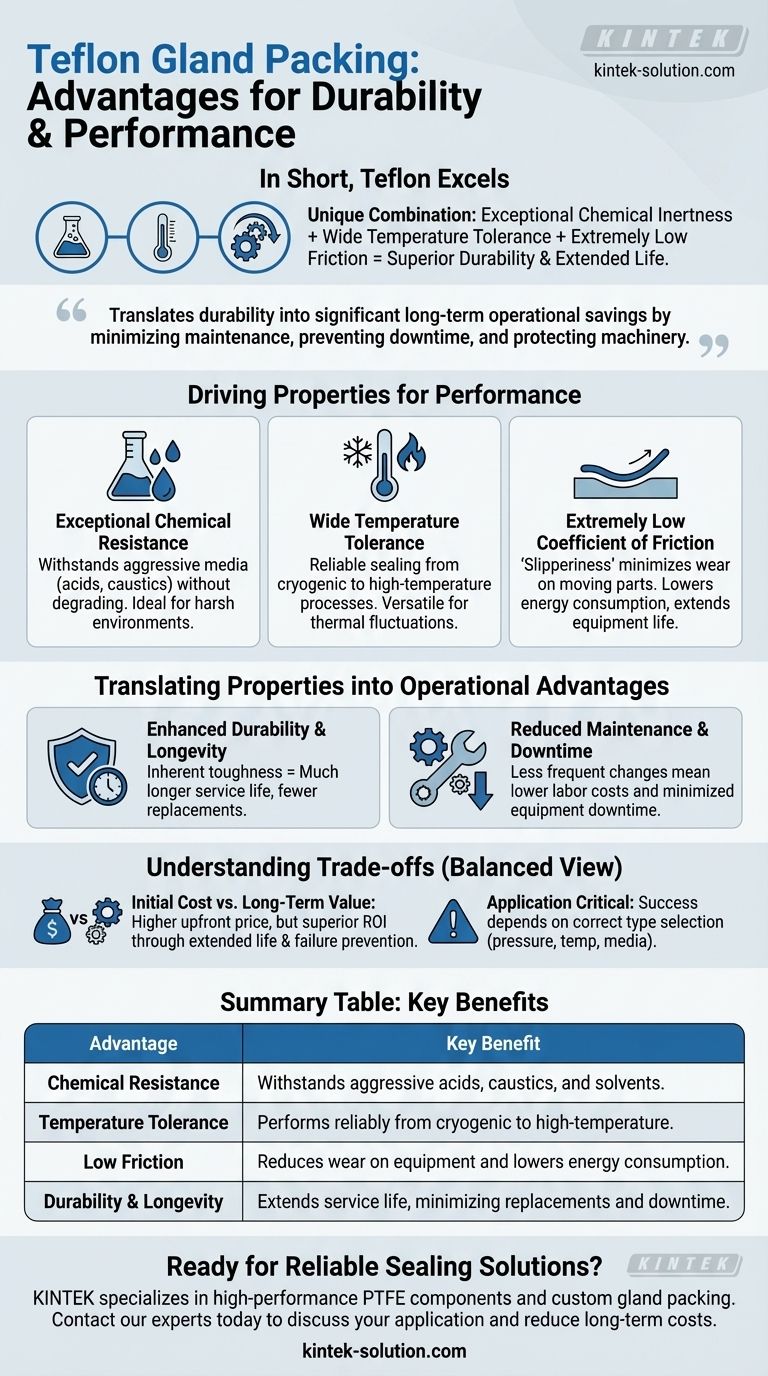 Quais são as vantagens das gaxetas de Teflon? Alcance Durabilidade e Desempenho Superiores Guia Visual