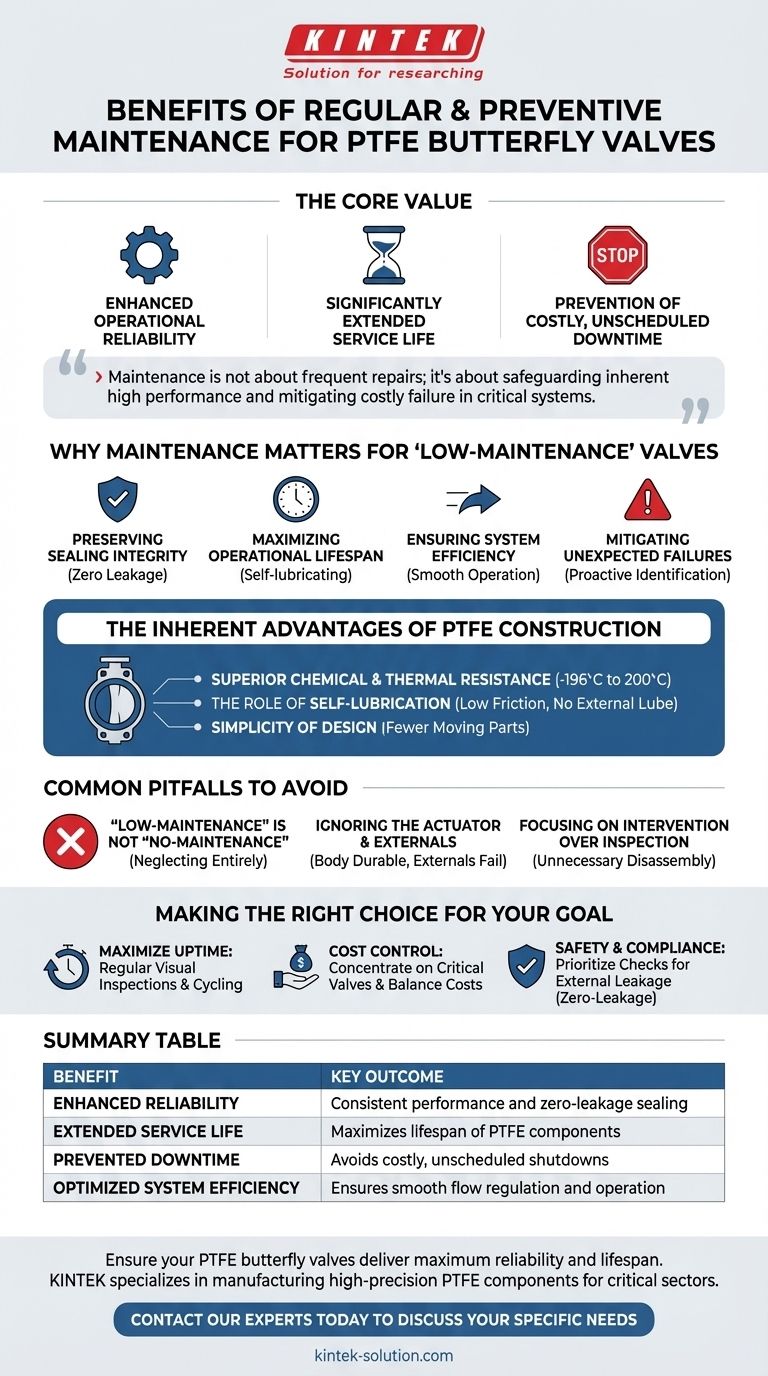 ¿Cuáles son los beneficios del mantenimiento regular y preventivo para las válvulas de mariposa de PTFE? Garantizar la fiabilidad a largo plazo Guía Visual