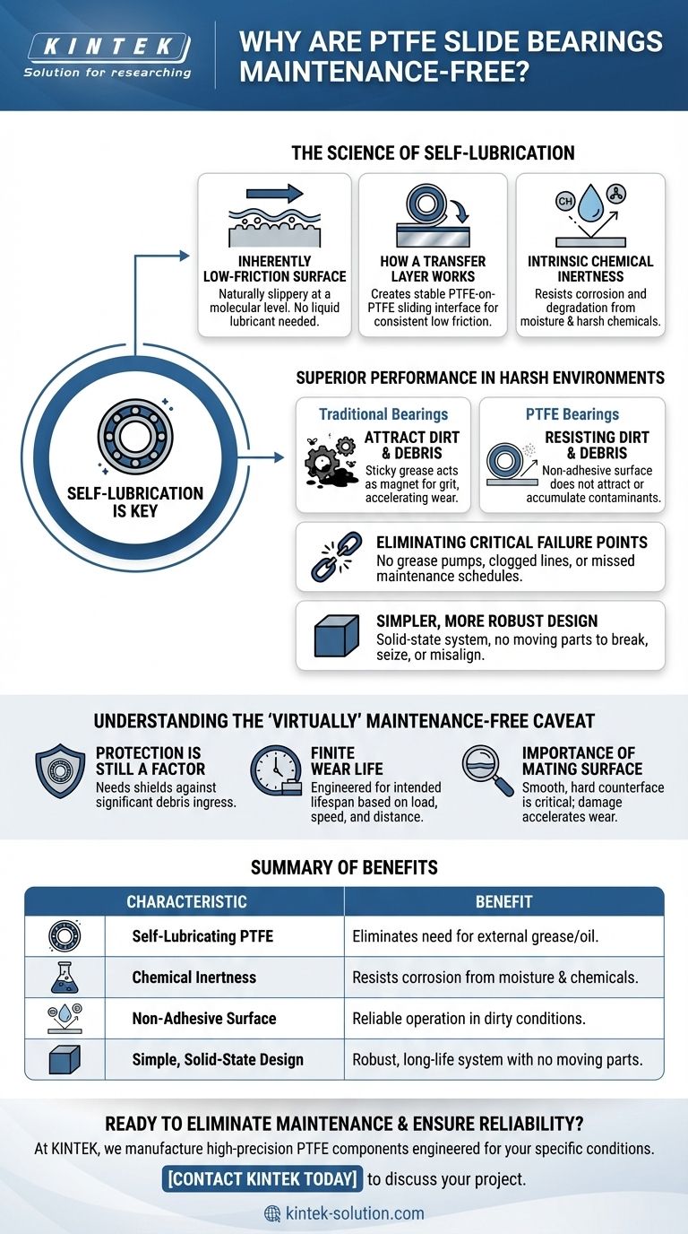 PTFE 슬라이드 베어링이 유지보수가 필요 없는 것으로 간주되는 이유는 무엇일까요? 장기적인 신뢰성의 핵심 시각적 가이드