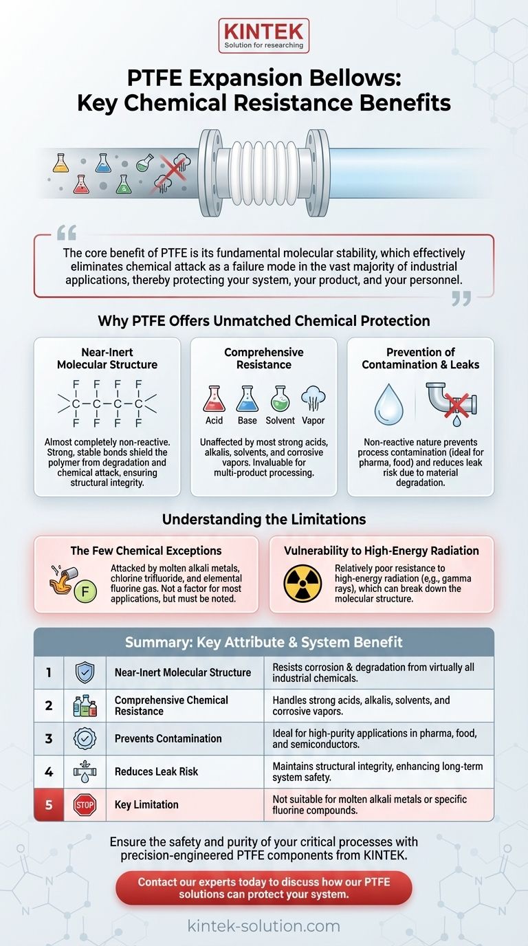 Quais são os principais benefícios dos foles de expansão de PTFE em termos de resistência química? Alcance Integridade Incomparável do Sistema Guia Visual