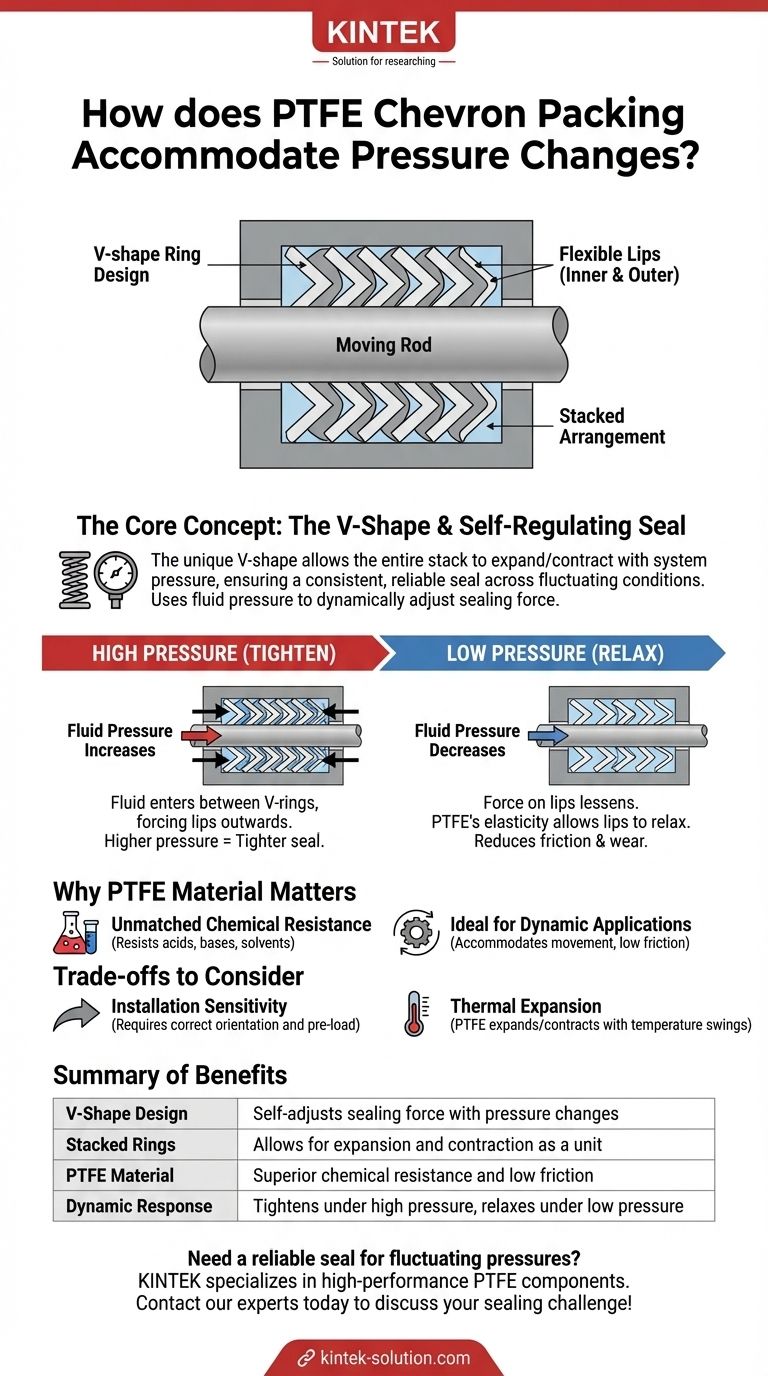 Come si adatta la guarnizione a V (chevron) in PTFE ai cambiamenti di pressione? Ottenere una tenuta affidabile e autoregolante Guida Visiva