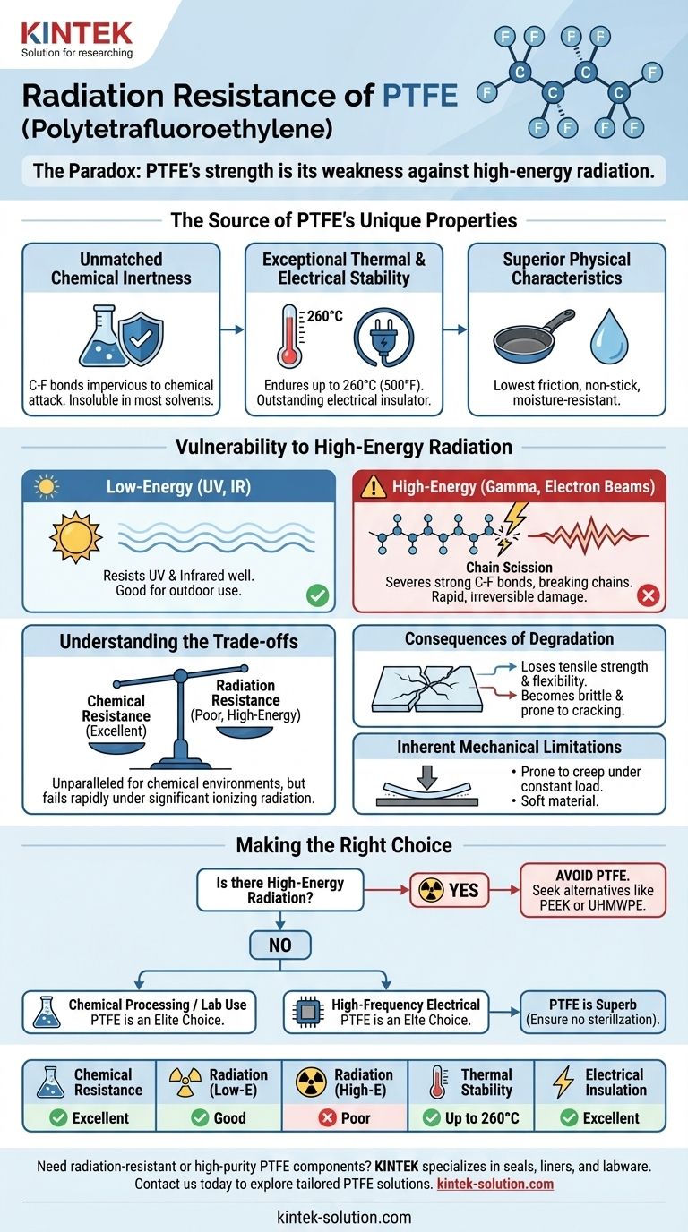 Qual é a resistência à radiação do PTFE e do mPTFE? Principais conclusões para aplicações em semicondutores e médicas Guia Visual