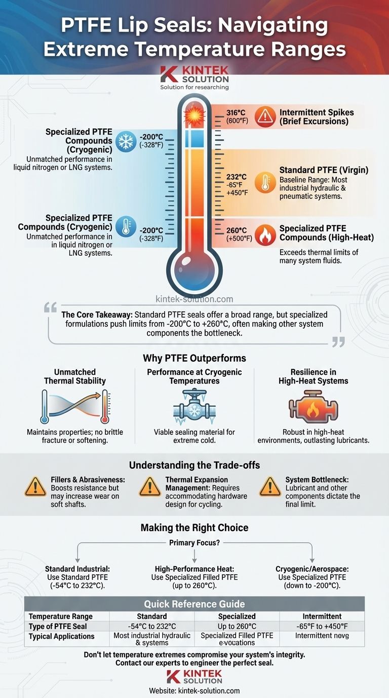 标准 PTFE 唇形密封圈通常能承受的温度范围是多少？极端温度性能指南 图解指南
