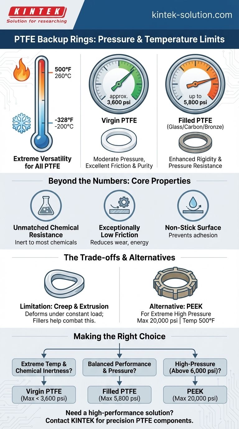 PTFE 백업 링의 압력 및 온도 한계는 얼마입니까? 올바른 재료 선택 가이드 시각적 가이드