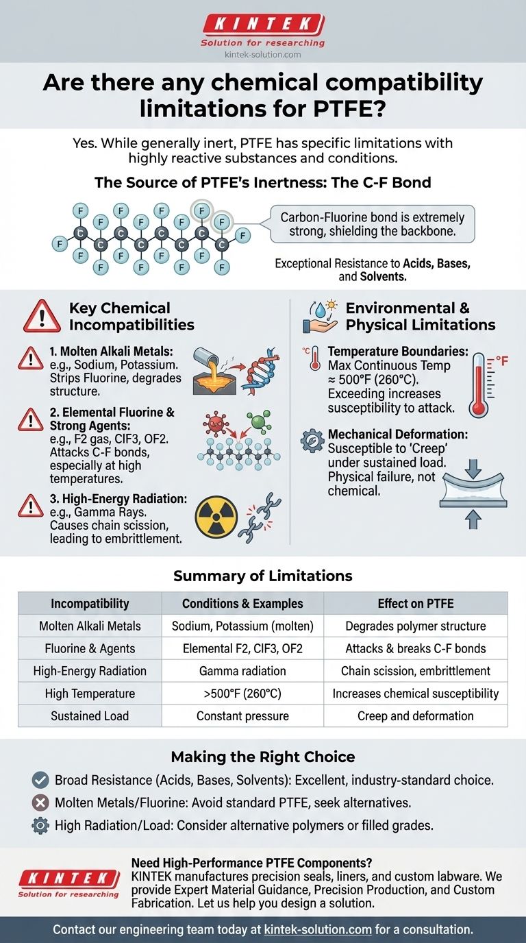 PTFE 有任何化学兼容性限制吗？了解其特定的脆弱性 图解指南