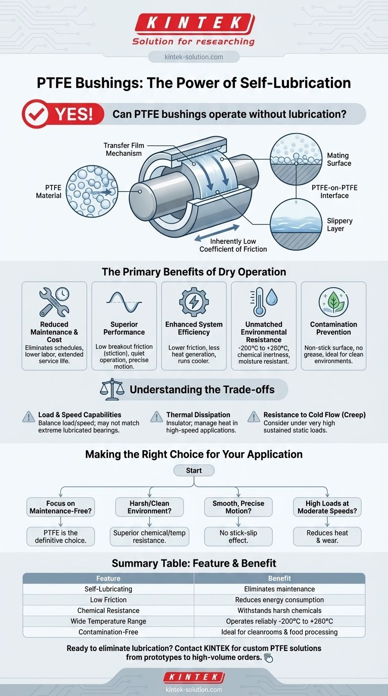 PTFE 부싱은 윤활 없이 작동할 수 있습니까? 가혹한 환경에서 유지보수가 필요 없는 성능을 달성하십시오. 시각적 가이드
