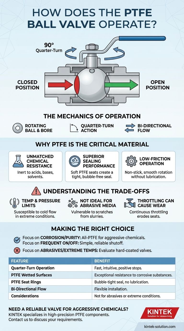 聚四氟乙烯（PTFE）球阀是如何操作的？可靠、耐腐蚀流体控制指南 图解指南