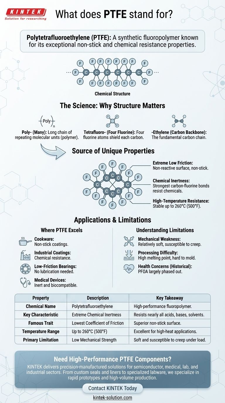 What does PTFE stand for? The Science Behind the Super-Material Visual Guide