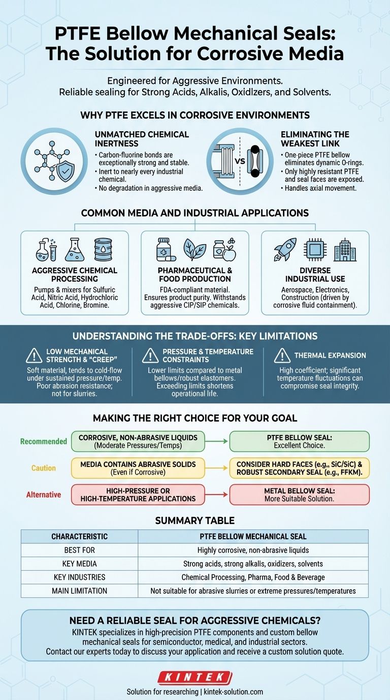 What types of media are suitable for PTFE Bellow Mechanical Seals? Sealing the Most Aggressive Chemicals Visual Guide