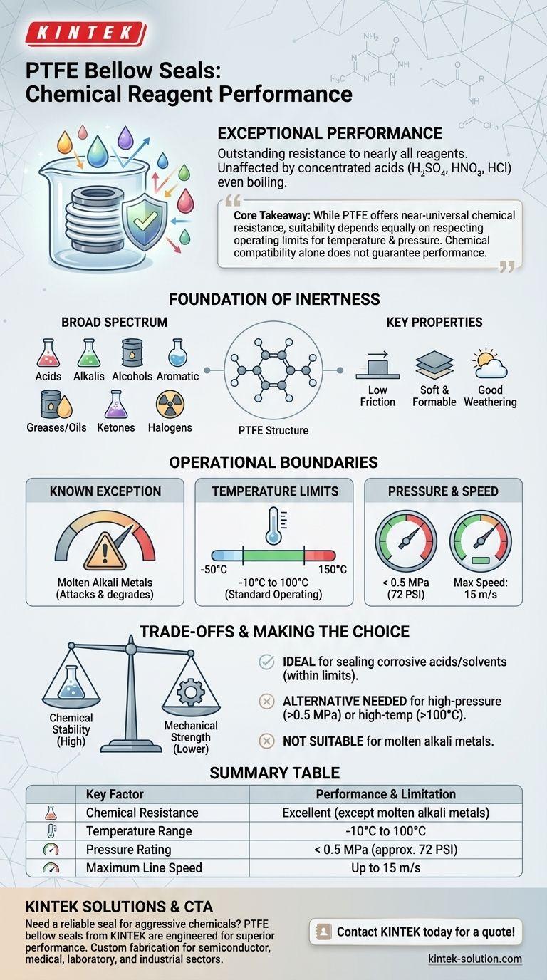 Como se comportam as foles de PTFE com reagentes químicos? Resistência Superior a Produtos Químicos Corrosivos Guia Visual